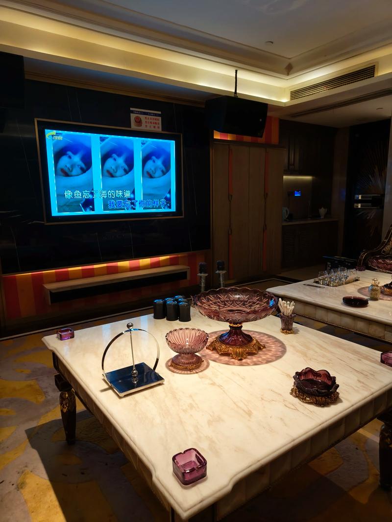 泸州商务ktv与片场区别-古蔺县ktv预订